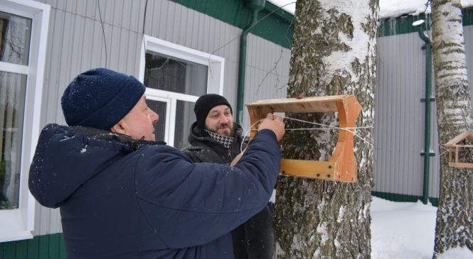 Журналисты измалковской районной газеты «Сельский восход» помогают зимовать птицам