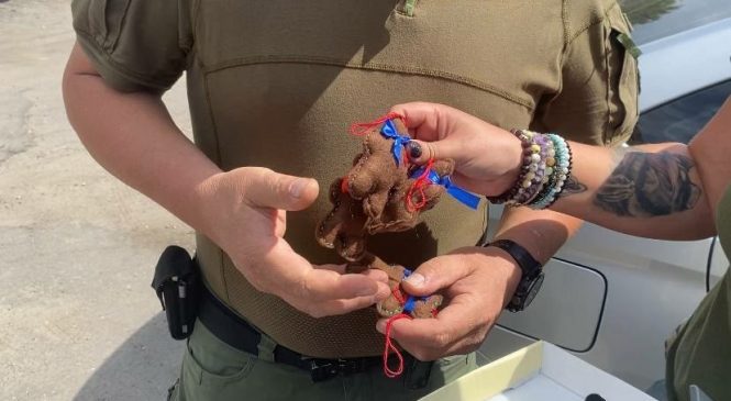 НАША АННА ВНОВЬ СОПРОВОДИЛА ГУМАНИТАРКУ