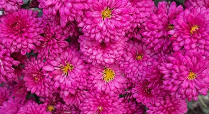 УДАЧНЫЙ КОНКУРС