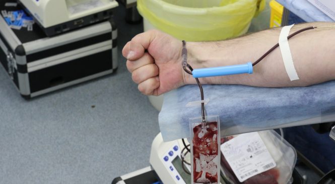 ПУЛЬС МИЛОСЕРДИЯ